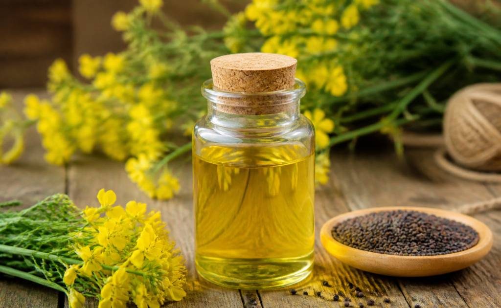Canola huile : tout savoir sur ses bienfaits et ses usages
