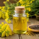 Canola huile : tout savoir sur ses bienfaits et ses usages