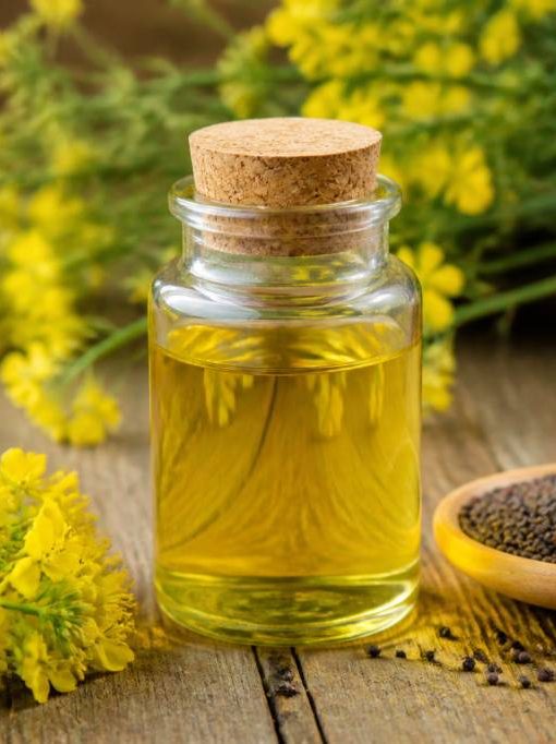 Canola huile : tout savoir sur ses bienfaits et ses usages