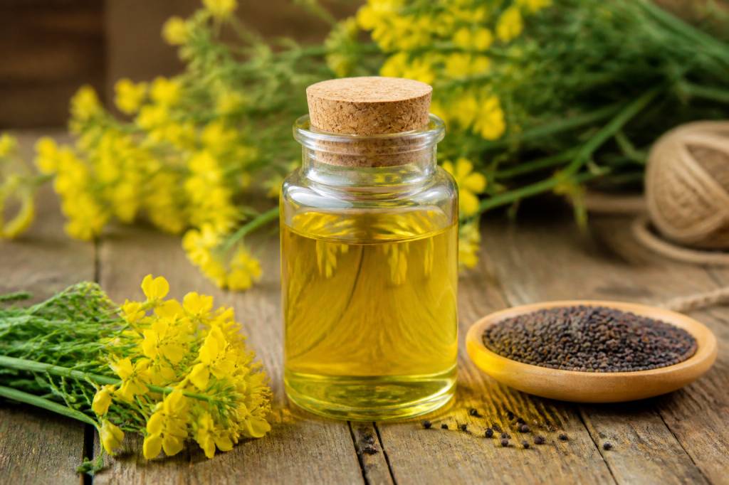 Canola huile : tout savoir sur ses bienfaits et ses usages