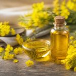 Huile de canola : bienfaits, usages et conseils d’achat pour la cuisine et la beauté