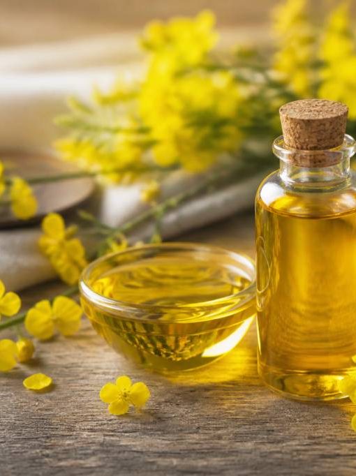 Huile de canola : bienfaits, usages et conseils d’achat pour la cuisine et la beauté