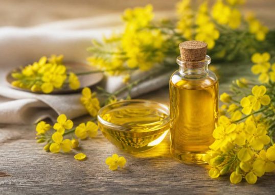 Huile de canola : bienfaits, usages et conseils d’achat pour la cuisine et la beauté