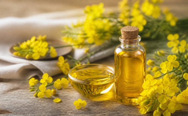 Huile de canola : bienfaits, usages et conseils d’achat pour la cuisine et la beauté