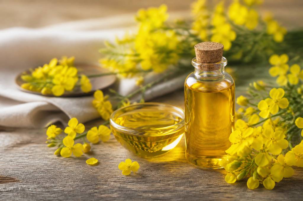 Huile de canola : bienfaits, usages et conseils d’achat pour la cuisine et la beauté