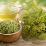 Cheveux de vénus : bienfaits, usages et conseils beauté