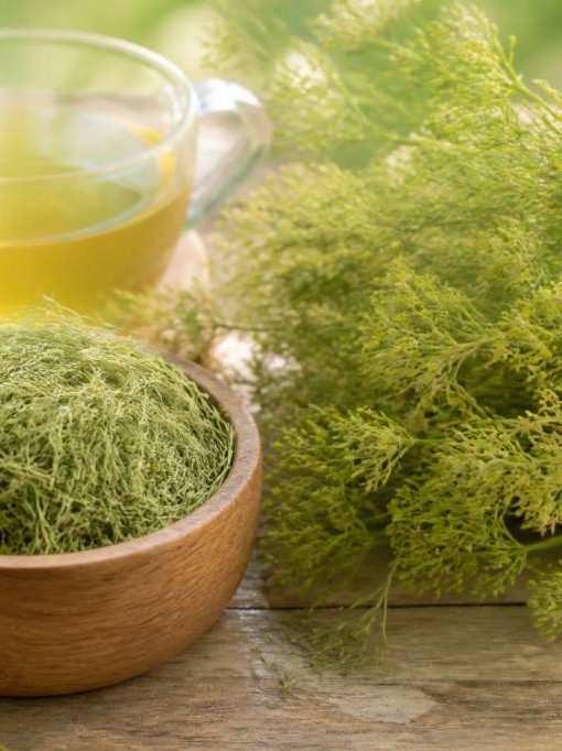 Cheveux de vénus : bienfaits, usages et conseils beauté