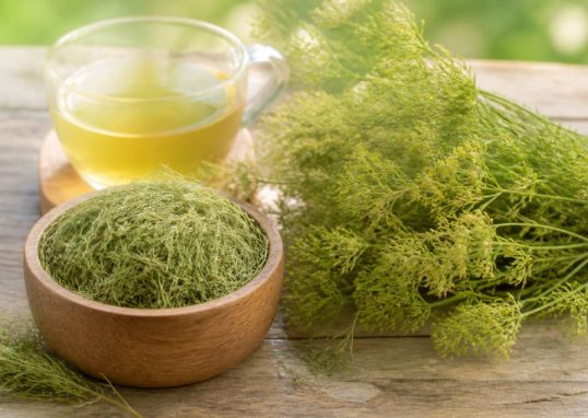 Cheveux de vénus : bienfaits, usages et conseils beauté