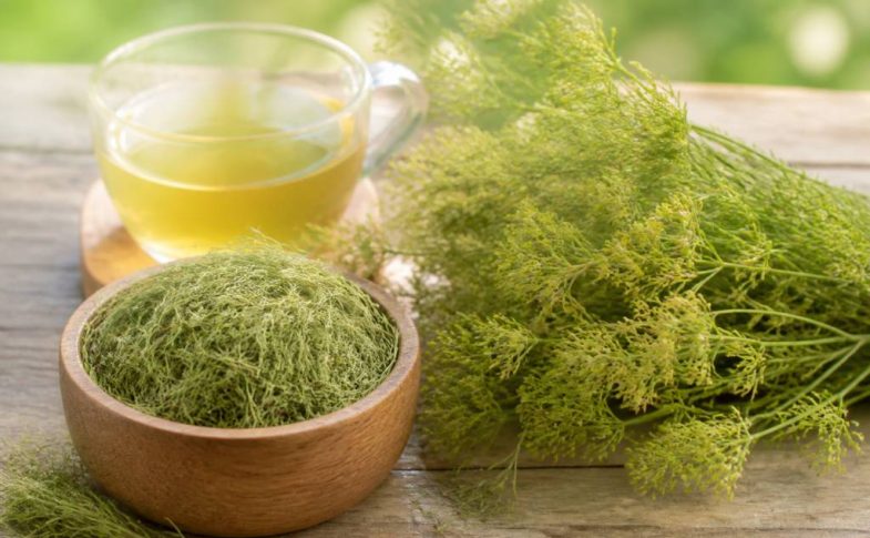 Cheveux de vénus : bienfaits, usages et conseils beauté