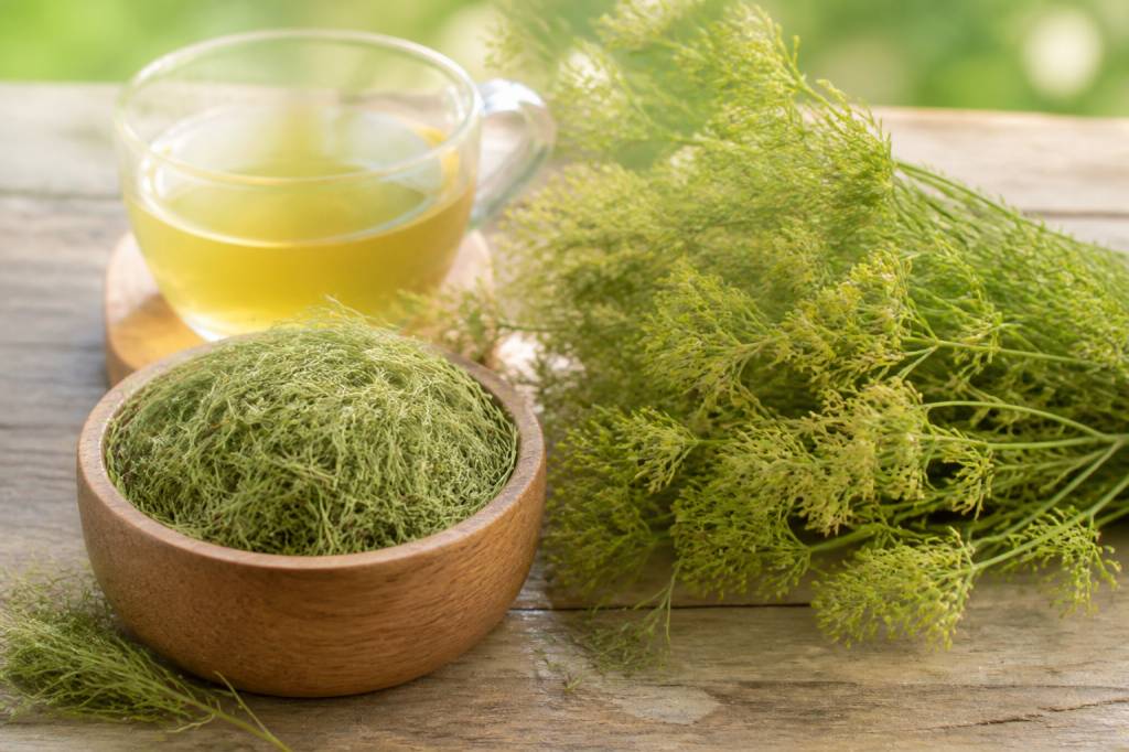 Cheveux de vénus : bienfaits, usages et conseils beauté