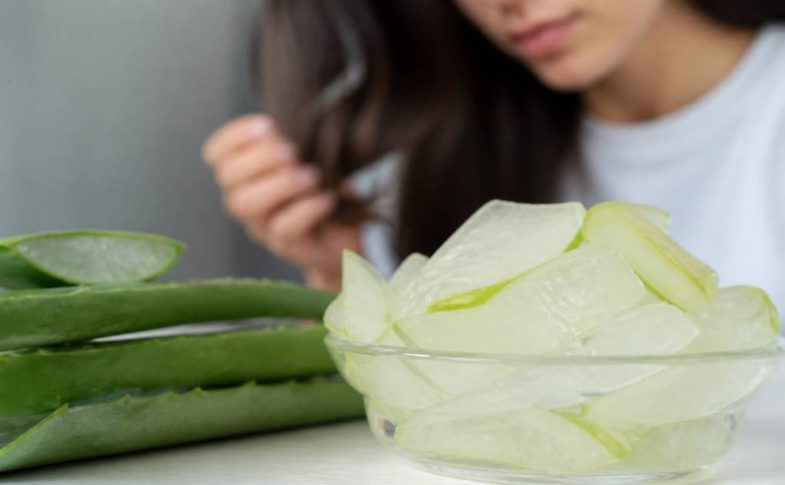 Aloe vera cheveux danger : quels risques et précautions ?
