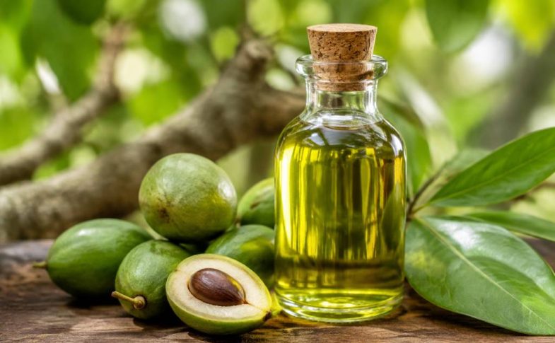 Acheter une huile vierge de tamanu de qualité naturelle