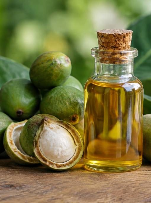 Huile de tamanu : origine, bienfaits, usages et précautions
