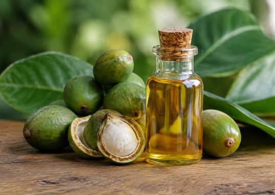Huile de tamanu : origine, bienfaits, usages et précautions