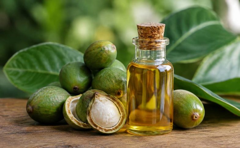 Huile de tamanu : origine, bienfaits, usages et précautions