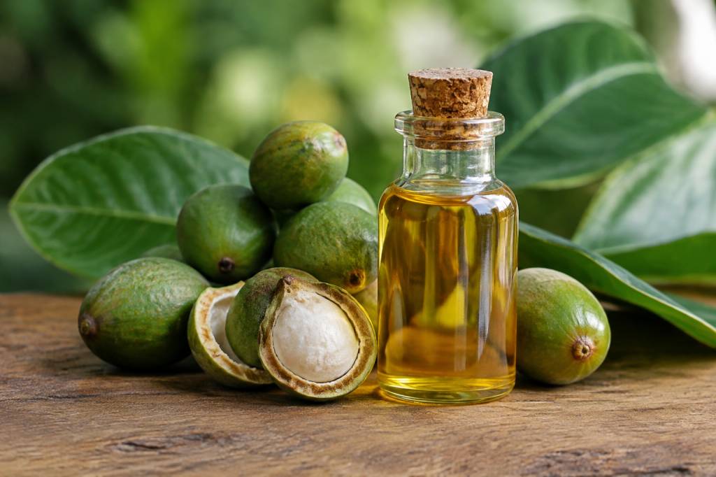 Huile de tamanu : origine, bienfaits, usages et précautions